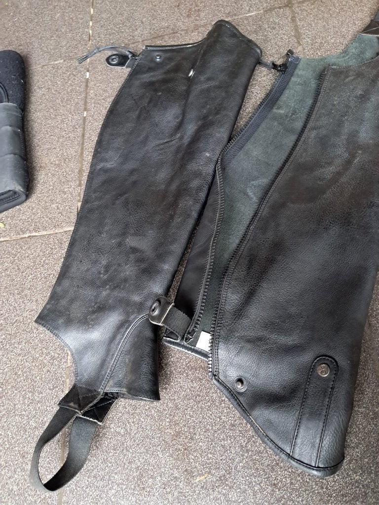Paardengetten chaps large, Ophalen, Gebruikt