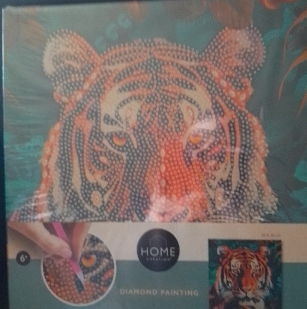 Een splinternieuwe diamant painting, Ophalen, Nieuw, Meerkleurig, Overige materialen