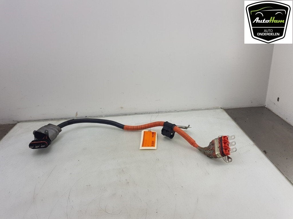 HV KABEL (HOOG VOLTAGE) Toyota Auris (E18) (01-2012/03-2019), Dhr. J. Ham, Gebruikt, Administratie@autoham.nl, Toyota
