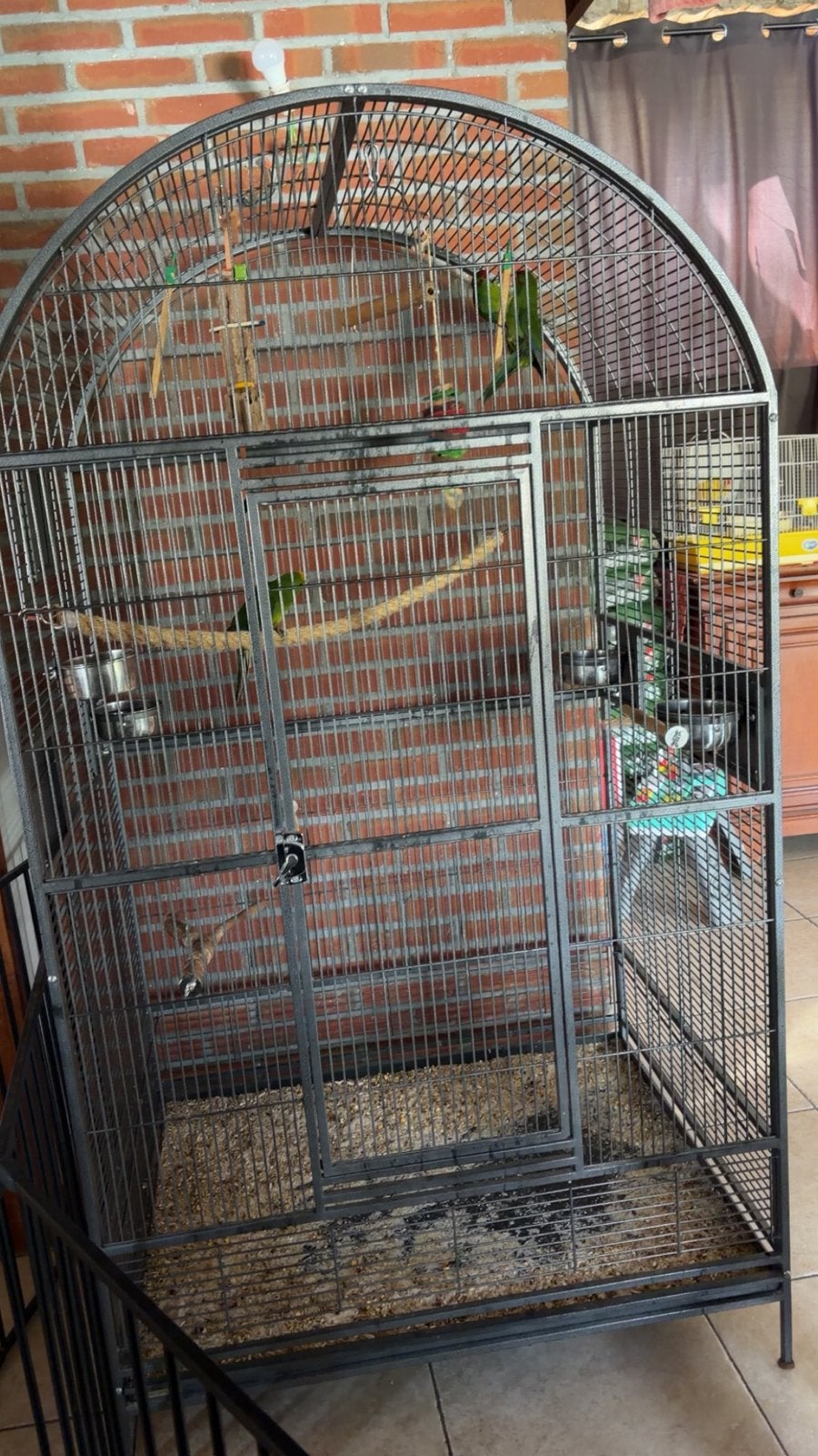 Cage perroquet perruche, Enlèvement, Comme neuf