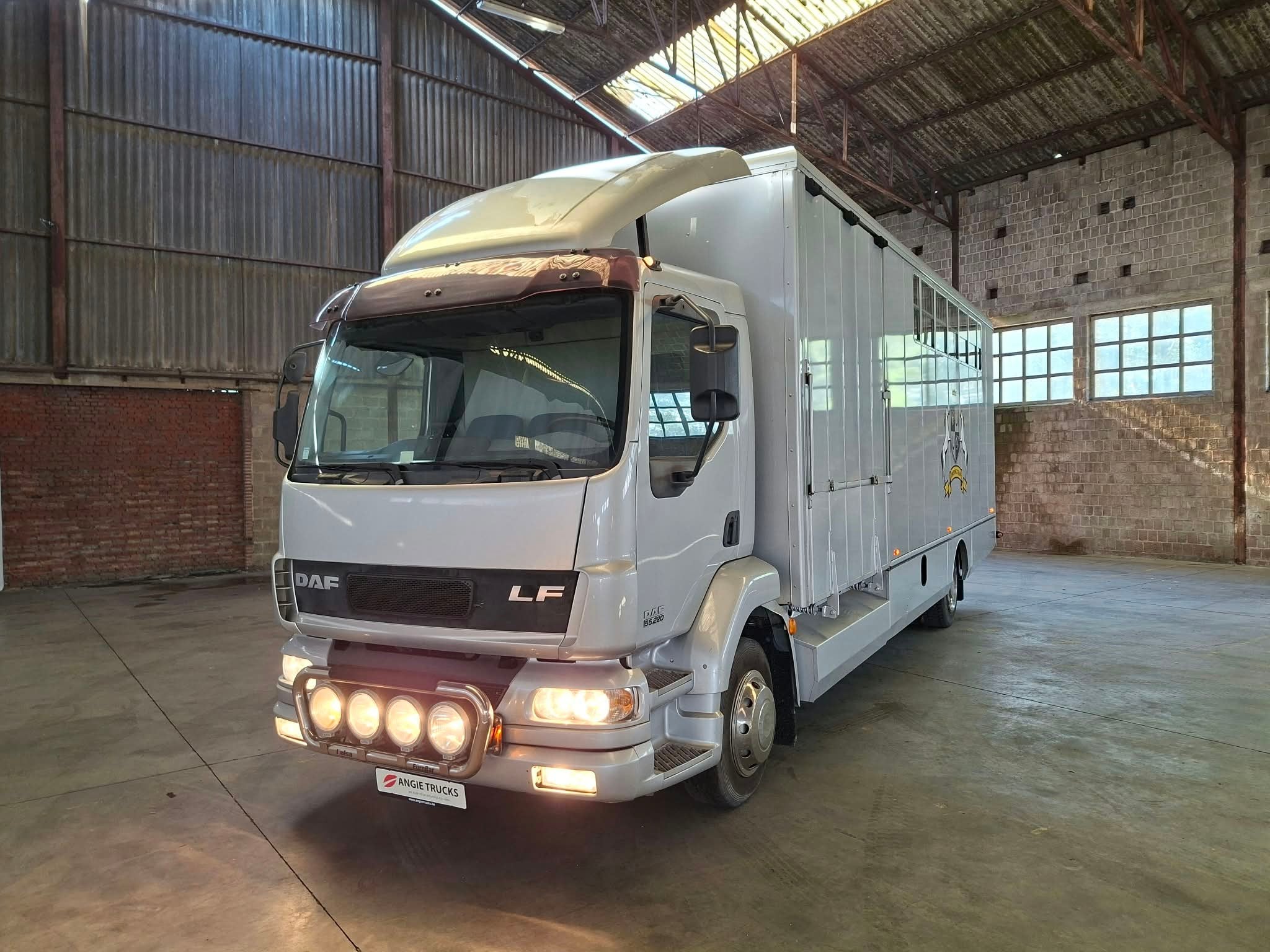 DAF LF 55 AE 55 LF-12 |VERVOER VOOR 5 PAARDEN | INGEBOUWD TO, Auto's, Achterwielaandrijving, Bedrijf, Diesel, DAF