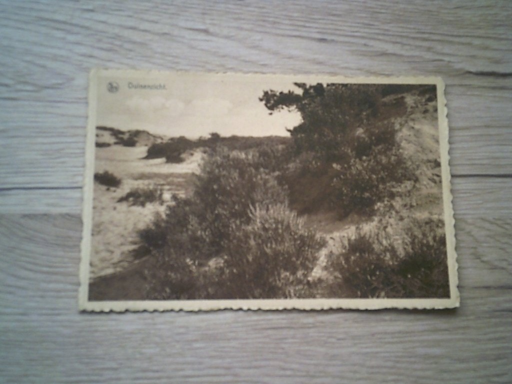 HEIDE / KALMMTHOUT: Duinenzicht, Enlèvement ou Envoi, 1920 à 1940, Affranchie, Anvers