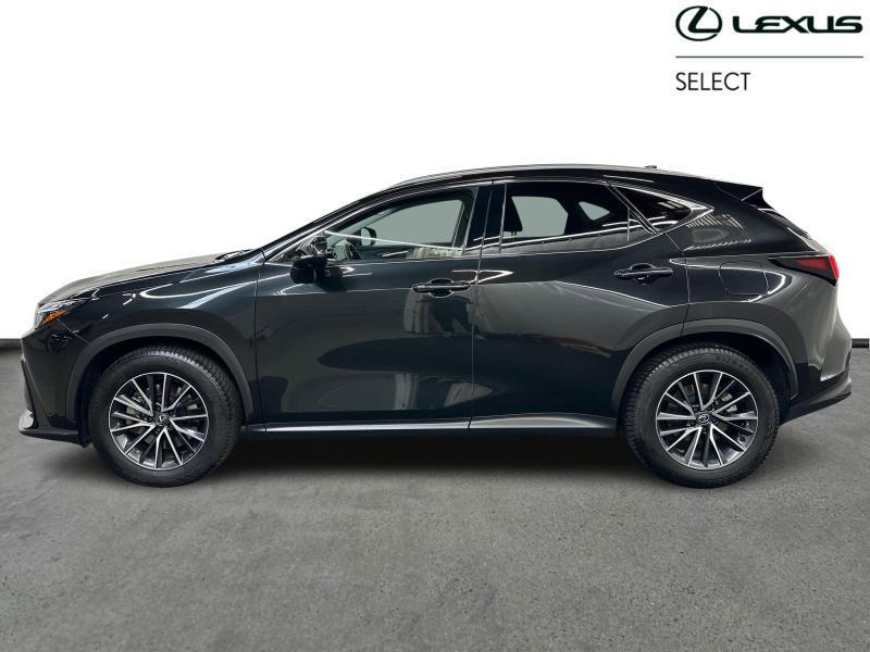 Lexus NX 450h+ Executive Line, Auto's, Automaat, https://public.car-pass.be/vhr/85c3c425-f894-487d-a88f-4547da48728b, 2487 cc