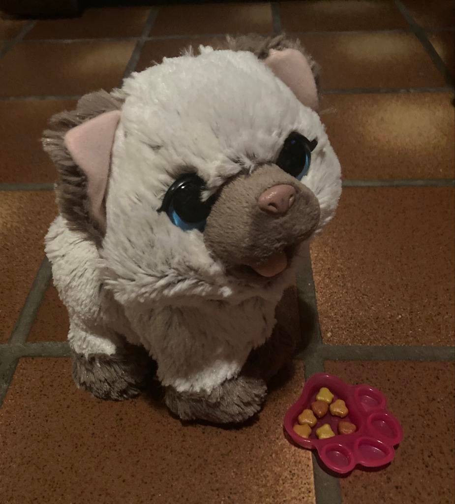 Kami, le chat dont elle a besoin, toutes sortes de sons., Enlèvement ou Envoi, Comme neuf