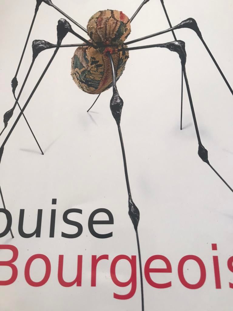Louise Bourgeois Sculptures Dessins 70pag, Boeken, Ophalen of Verzenden, Zo goed als nieuw, Beeldhouwkunst