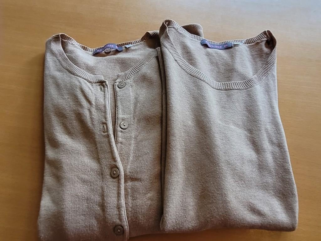 Pull / gilet  Pauline B, Taille 42/44 (L), Enlèvement ou Envoi, Beige, Pauline B.