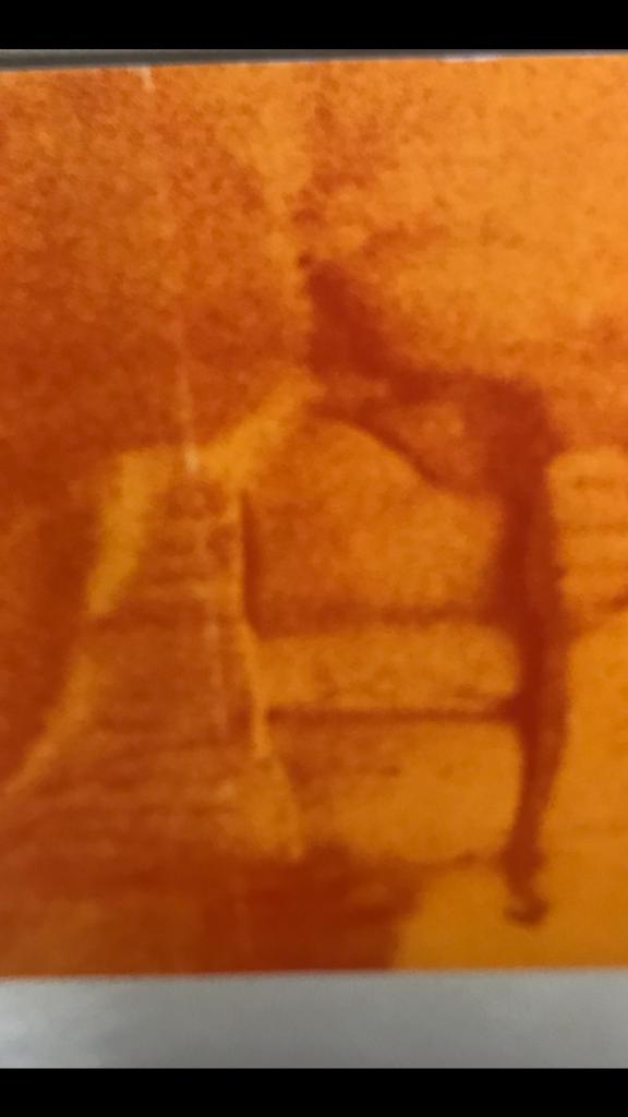 Carmen Dionyse Céramique sur 500 exemplaires 30pag, Enlèvement ou Envoi, Comme neuf, Sculpture