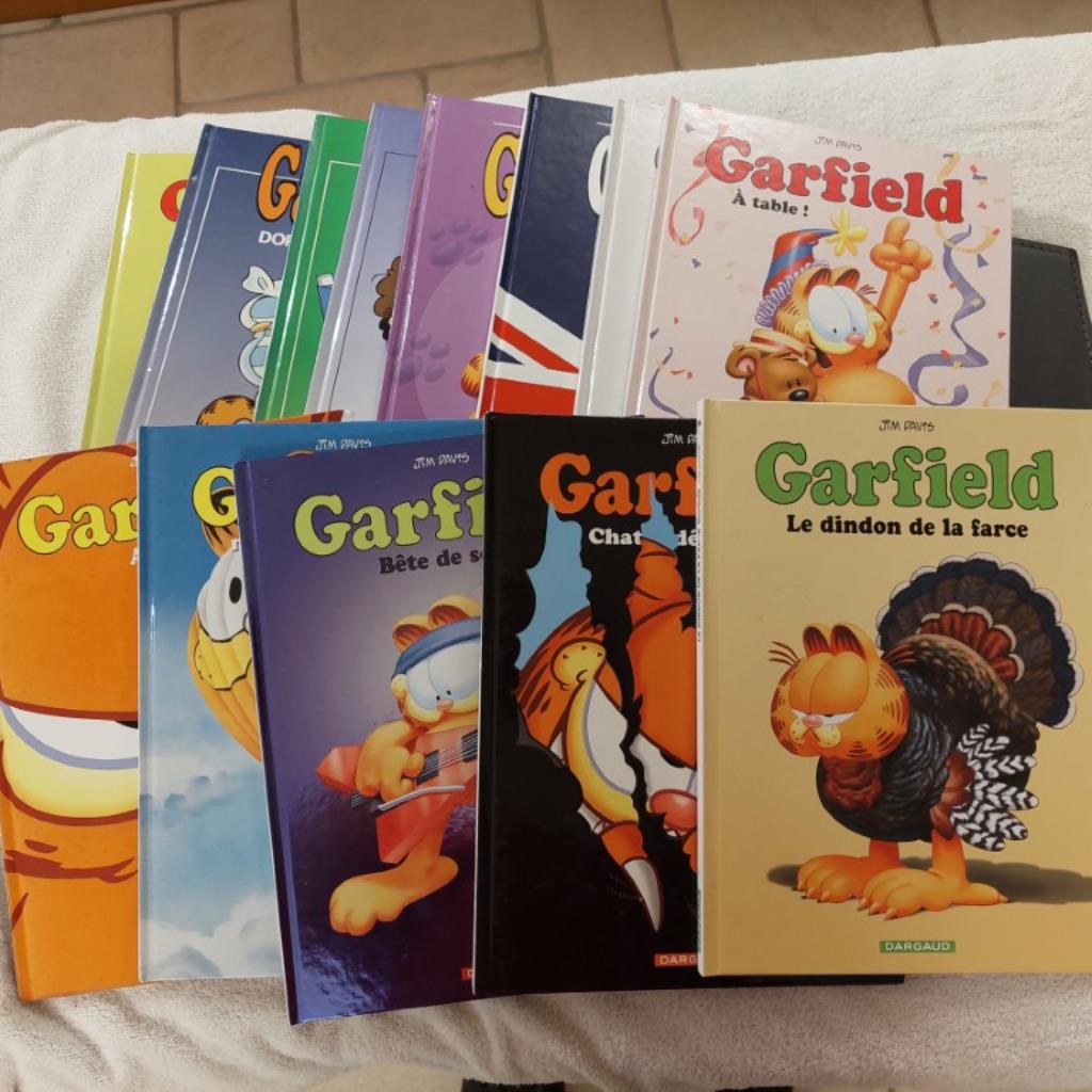 15 tomes Garfield - jim davis - 1è edition / rééd, Enlèvement ou Envoi