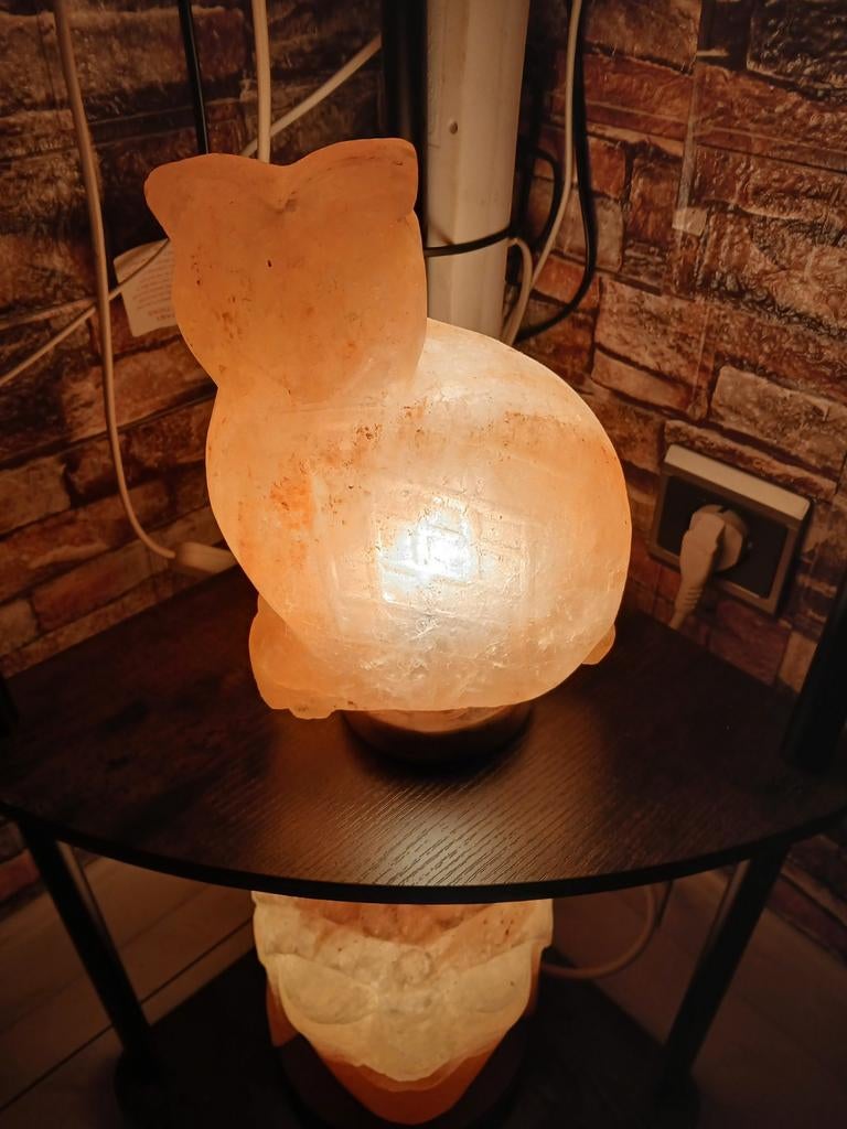 Zoutlamp UIL, Ophalen