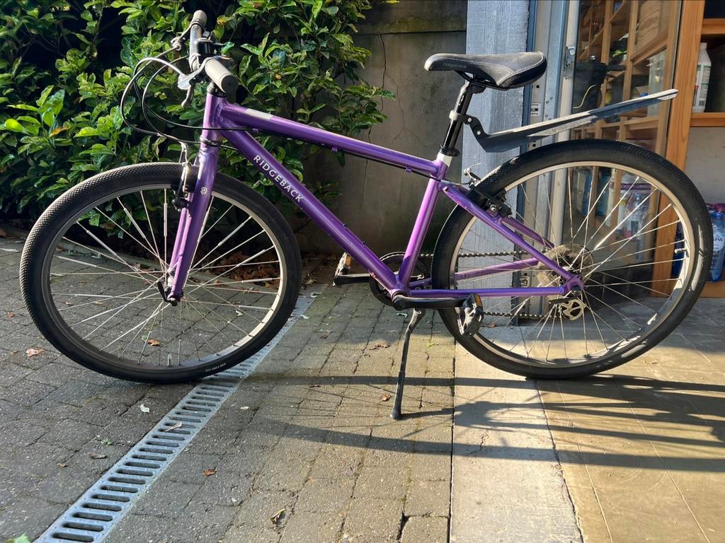 eparatie Ridgeback Dimension 26, Violet,, Enlèvement, Utilisé