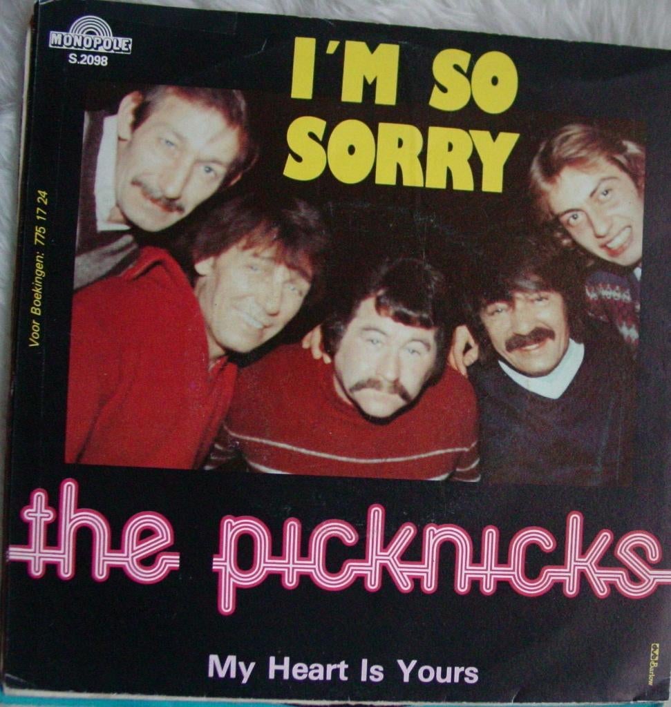 45T 7INCH VINYL SINGLE THE PICKNICKS, Cd's en Dvd's, Ophalen of Verzenden, Single