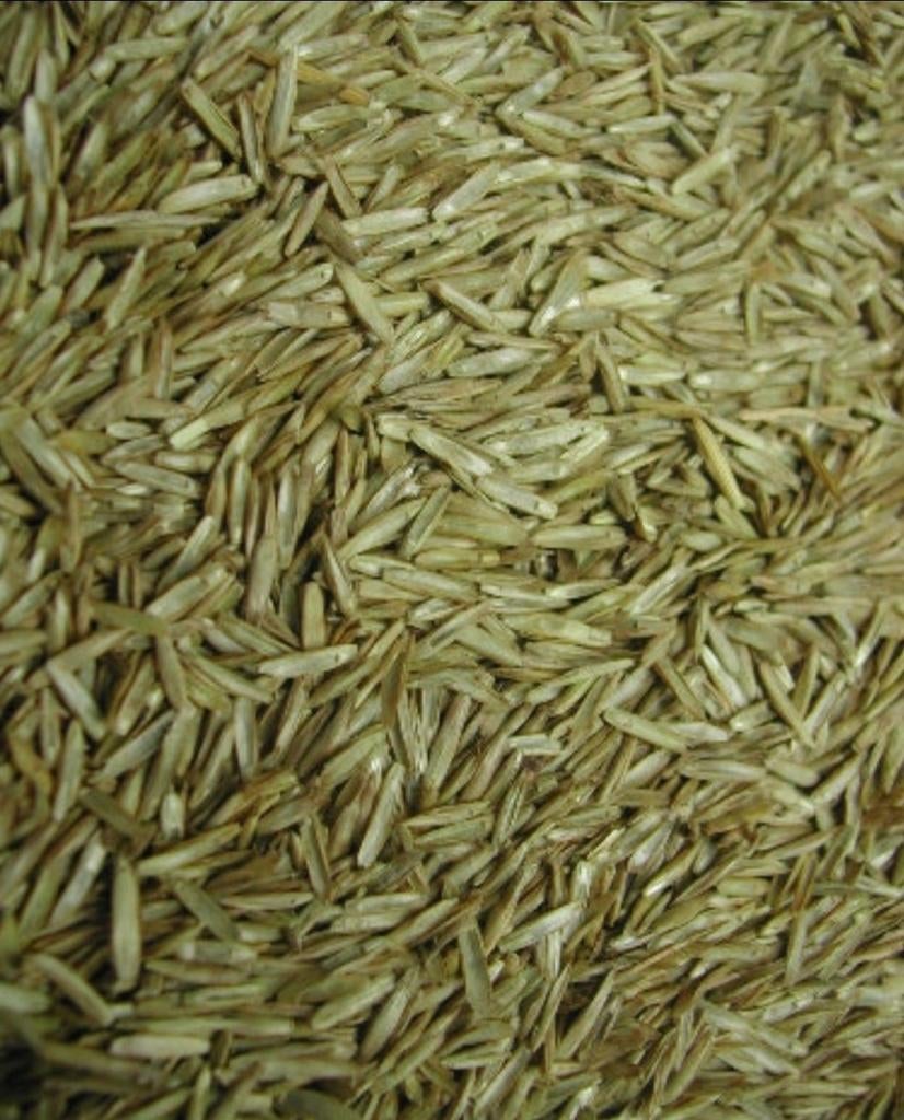 Graszaad ( 2 soorten ) - Enkelvoudige zaden - Winkel en Webs, Ophalen