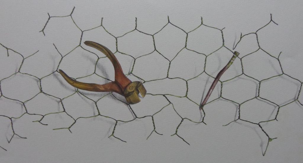 PETRUS VALCKX / KNIPTANG / ZW-W LITHO + AQUAREL / 38x56cm, Ophalen of Verzenden