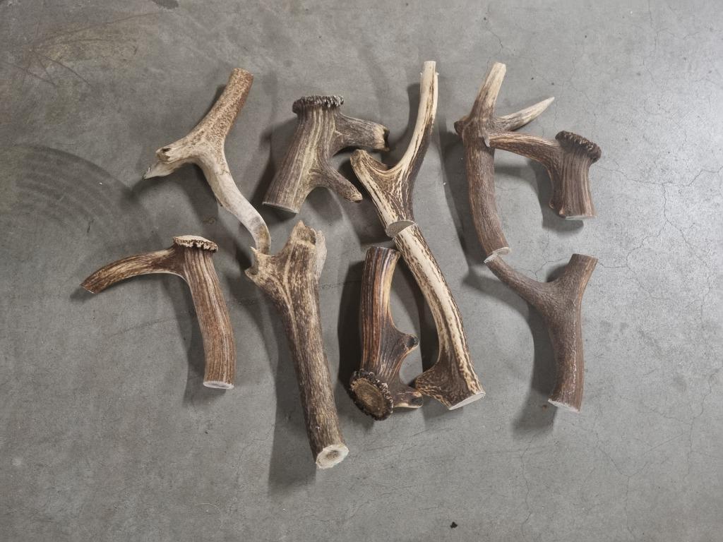 Hond brokken, Dieren en Toebehoren, Ophalen, Gebruikt