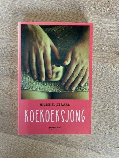 Koekoeksjong - aangrijpend jeugdboek, Ophalen of Verzenden, Zo goed als nieuw, Hilde E. Gerard, Fictie