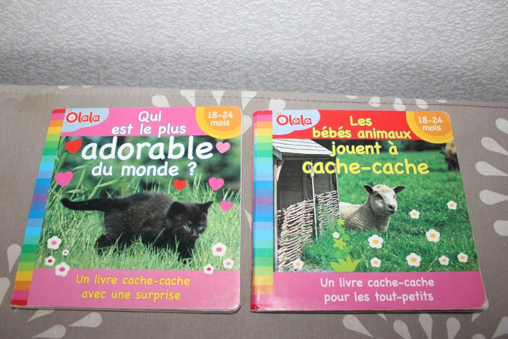 lot de 2 livres bébé 18-24 mois, Boeken, Kinderboeken | Baby's en Peuters, Gelezen, Ophalen of Verzenden