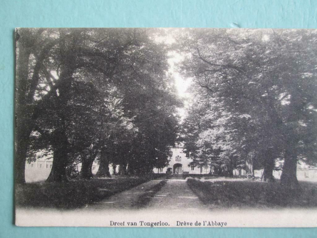 oude postkaart : Dreef van Tongerloo, Verzenden