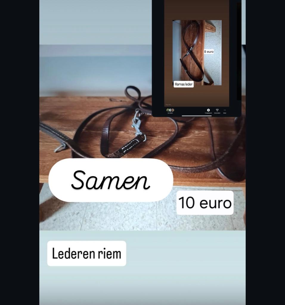 Set lederen riem met lederen gareel samen 10€, Ophalen of Verzenden, Zo goed als nieuw
