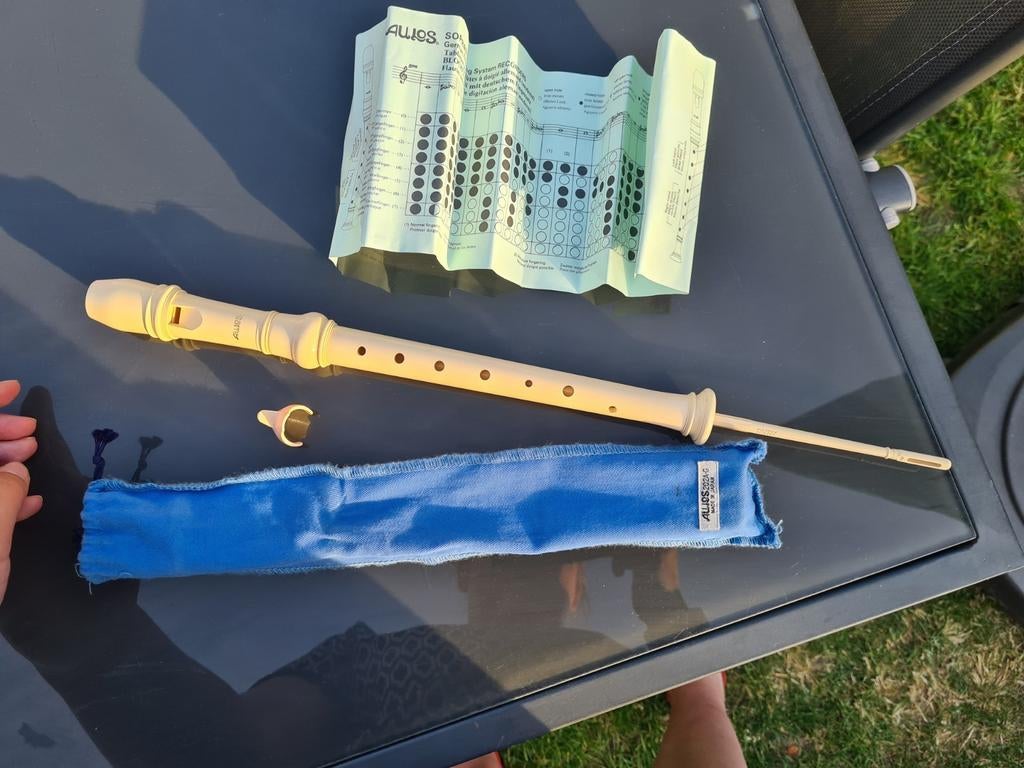 Flûte à bec Aulos, Enlèvement ou Envoi