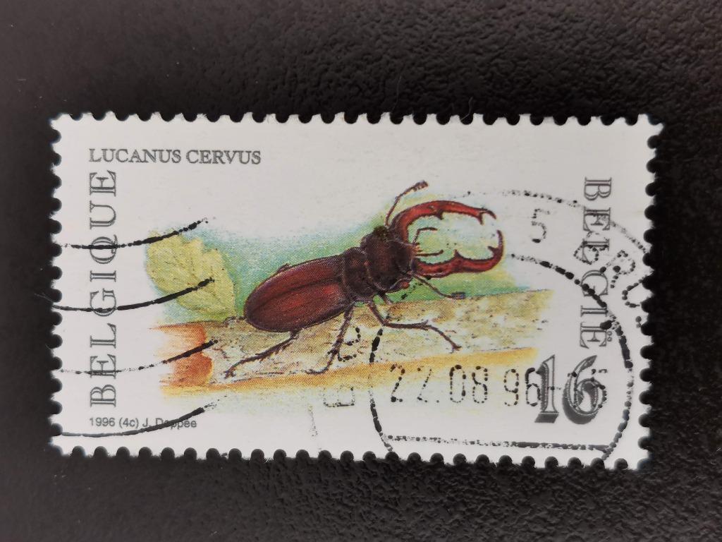 Belgique 1996 - insectes - cerfs volant, Enlèvement ou Envoi, Affranchi