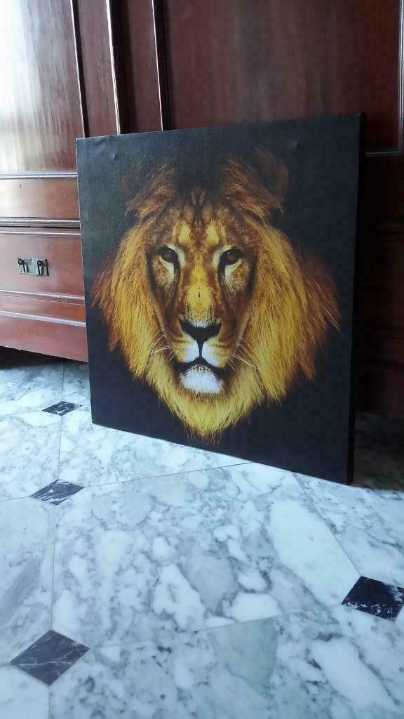 Canvas Leeuw, Huis en Inrichting, Woonaccessoires | Schilderijen, Tekeningen en Foto's, Ophalen, Zo goed als nieuw, 50 tot 75 cm