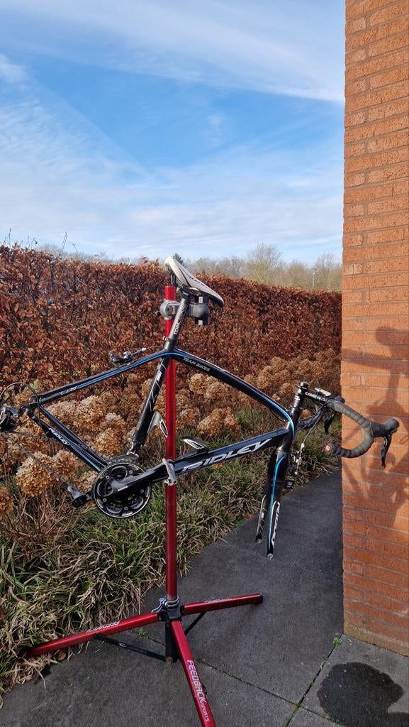 Ridley liz, Fietsen en Brommers, Ophalen
