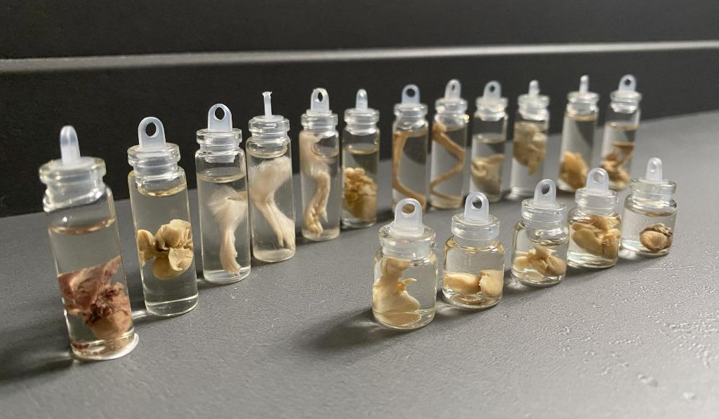 Mini sterk water flesjes, Verzamelen, Dierenverzamelingen, Ophalen of Verzenden