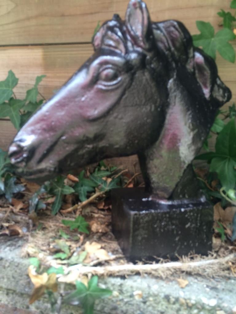 1 paard gietijzer hoofd, in roest-optica zwart, Ophalen of Verzenden, Steen, Dierenbeeld