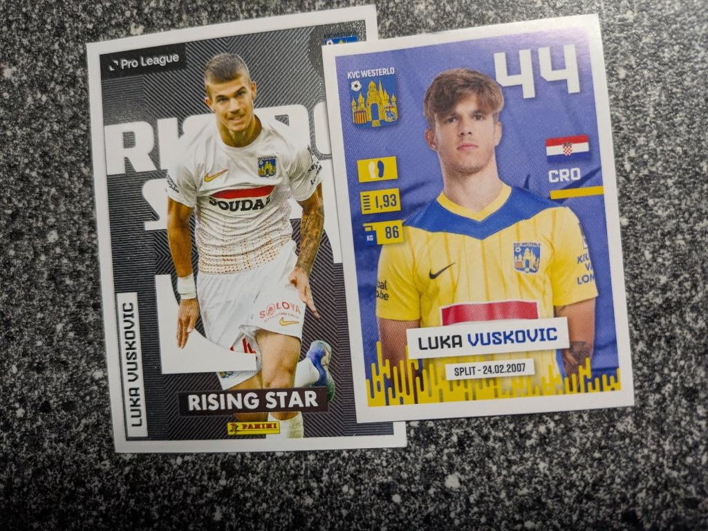 Carte foot Panini/autocollant d'adrénaline VUSKOVIC 2024/5, Enlèvement ou Envoi, Autocollant