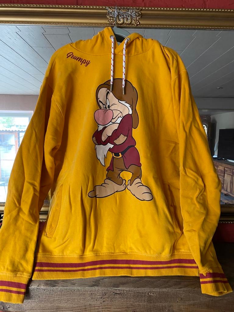 Sweater (Hoody )Grumpy, Ophalen of Verzenden, Zo goed als nieuw, Geel