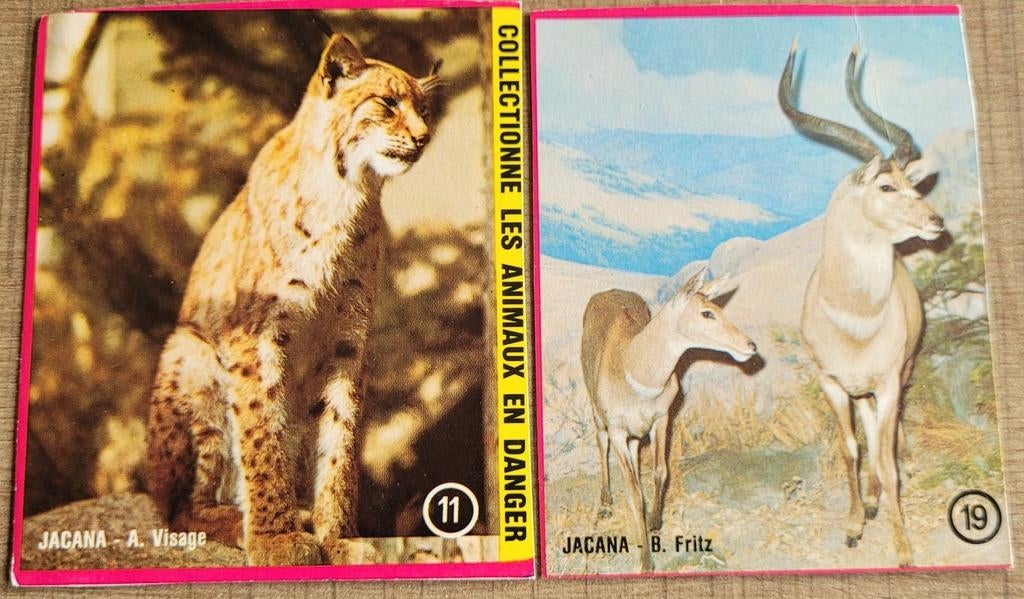 2 oude verzamelprenten: dieren (Royco Zoo), Collections, Enlèvement ou Envoi, Utilisé, Animal, Gravure