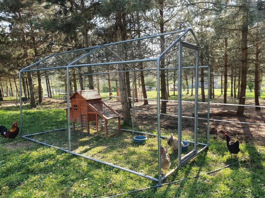 Poulailler enclos parc 4x2x2,25m POULAILLER 8M² enclos XXL, Animaux & Accessoires, Volatiles | Accessoires, Neuf, Poulailler, Envoi