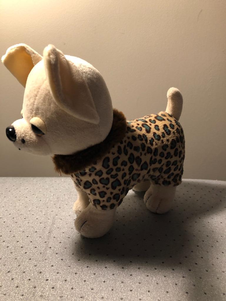 Chihuahua in vlekken pakje, Ophalen of Verzenden, Zo goed als nieuw, Hond