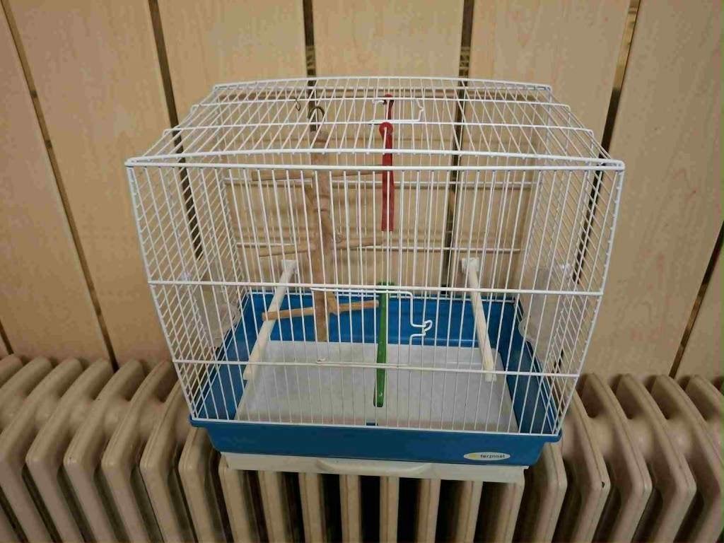 mooie vogelkooi, Dieren en Toebehoren, Vogels | Hokken en Kooien, Ophalen, Vogelkooi