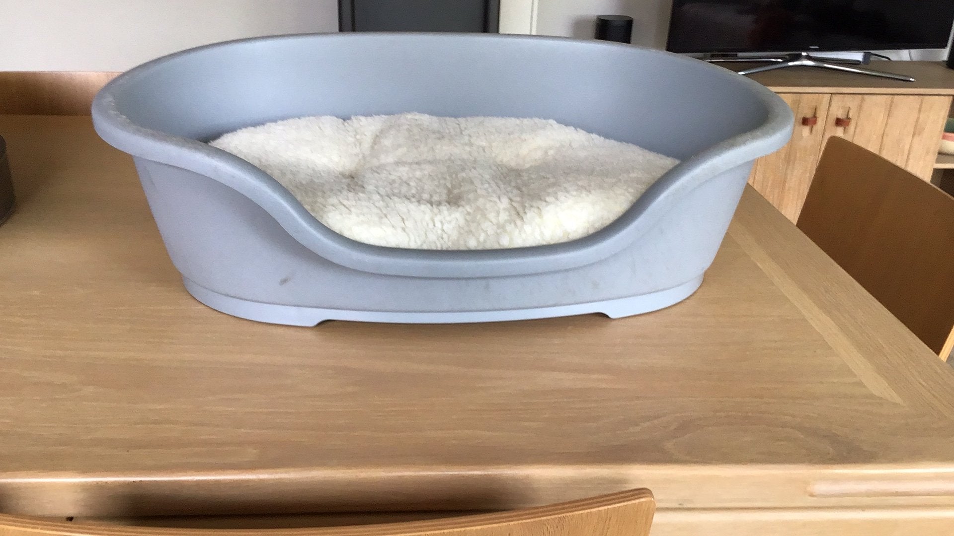 Hond of katten benodigdheden, Ophalen, Gebruikt