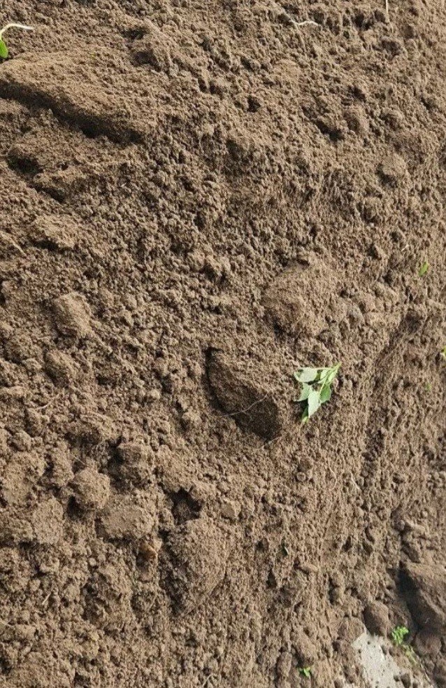 terre à donner, Jardin & Terrasse, Terre & Fumier, Enlèvement
