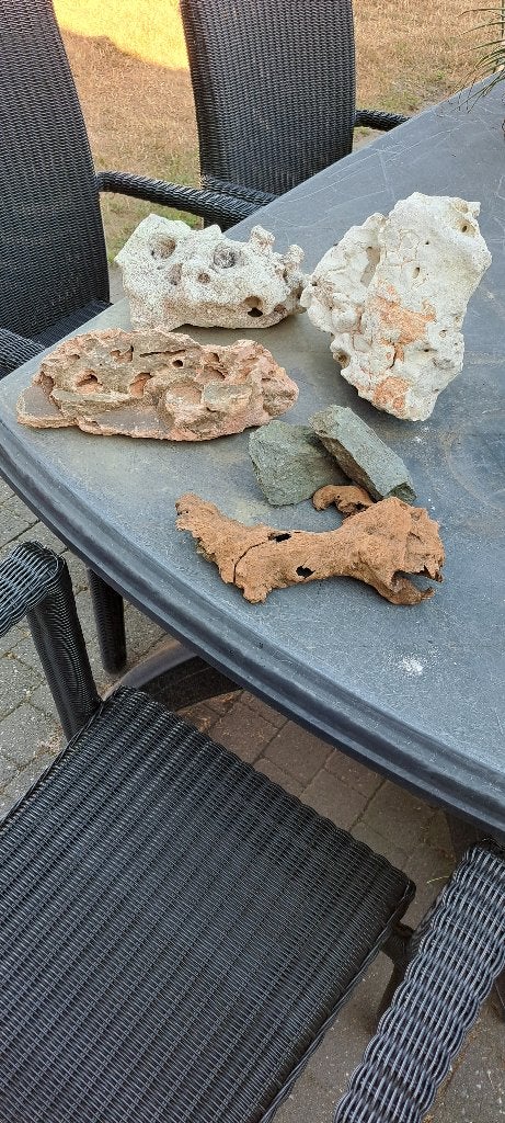 aqarium, Dieren en Toebehoren