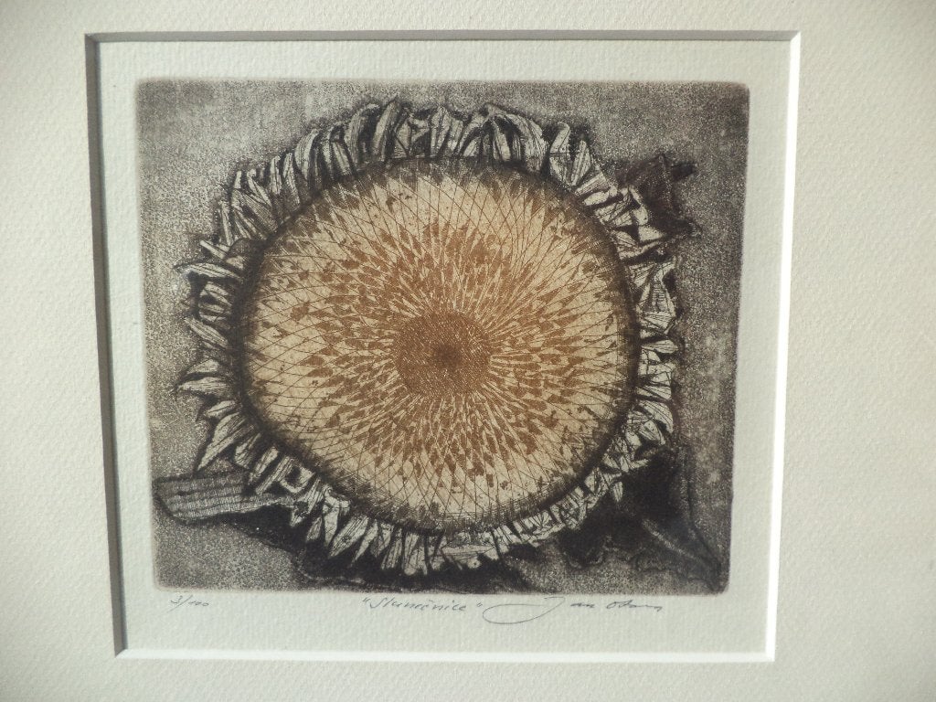Jan OTAVA CZ. aquatint etching zonnebloem 3/100 eauforte ets, Antiek en Kunst, Kunst | Etsen en Gravures, Ophalen of Verzenden