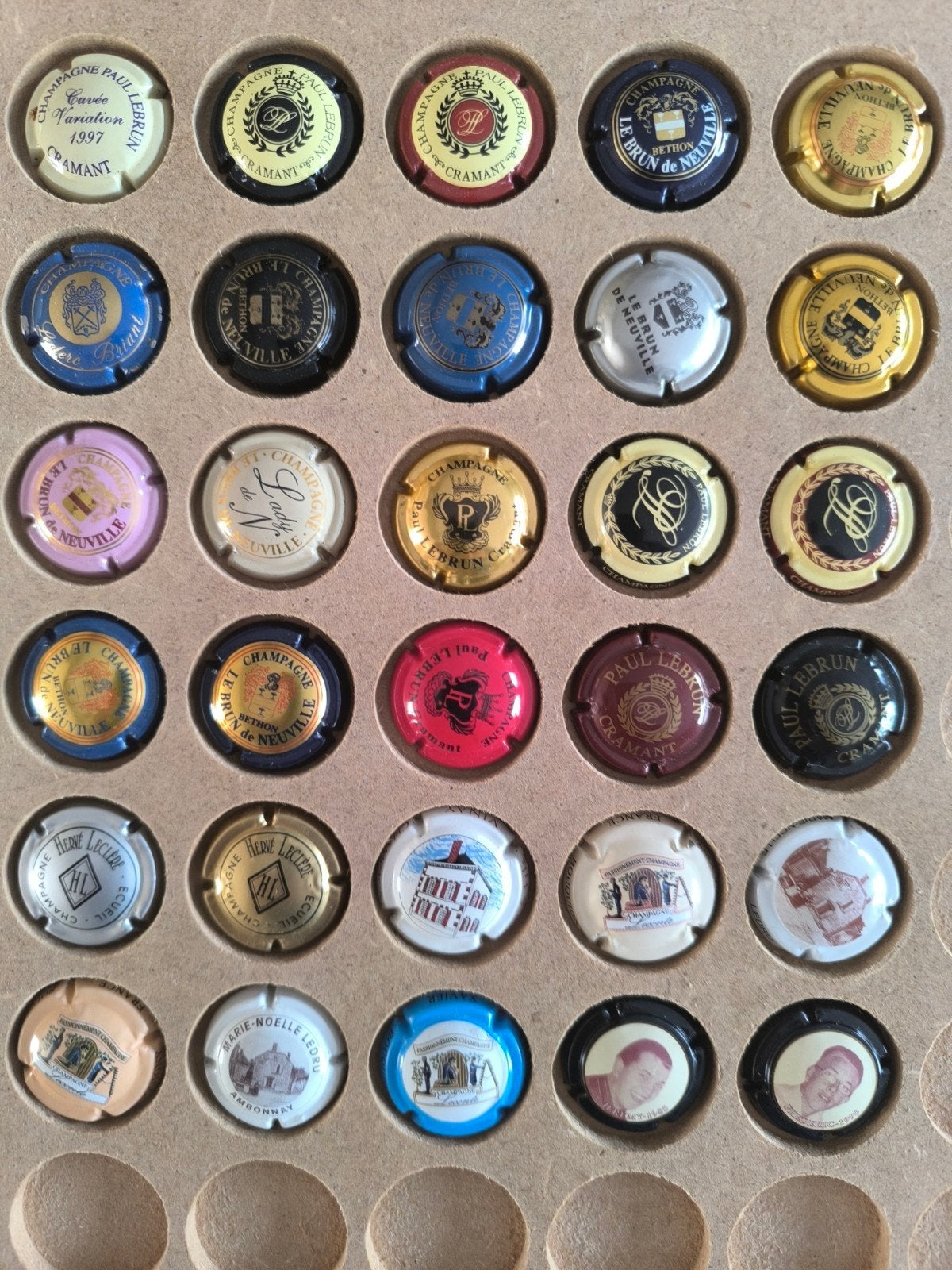 30 verschillende Champagne capsules met de letter L (6), Ophalen of Verzenden