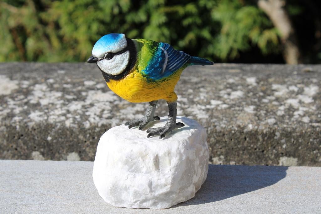 pimpelmees in brons met gepatineerde kleuren, Ophalen of Verzenden, Nieuw