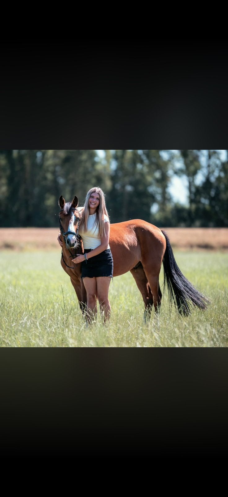 Halve stal gezocht, Dieren en Toebehoren
