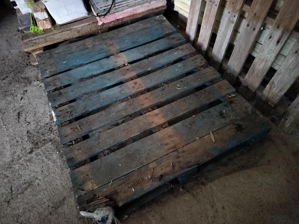 Palette à donner, Pallet