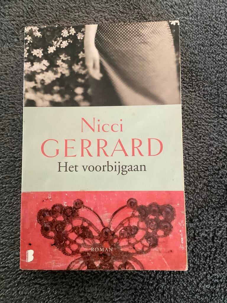 Roman : Het voorbijgaan - Nicci Gerrard, Ophalen, Gelezen
