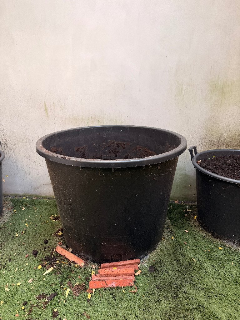 Kweekpot 350 liter 2 stuks (€50 / stuk), Ophalen, Gebruikt, Kweekbak