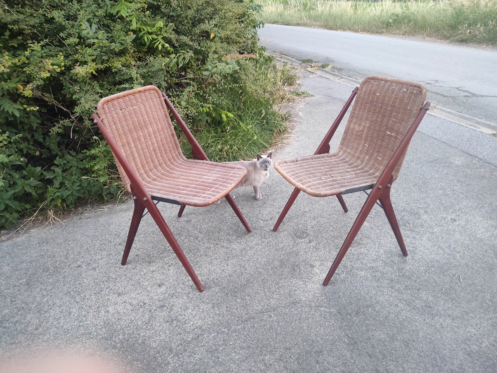 Ensemble de 2 chaises et chaises vintage des années 1950, Enlèvement, Ensemble