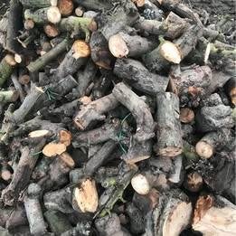 Droog brandhout - Appel - 35 cm gezaagd - stook klaar 75 €, Tuin en Terras, Ophalen, Nieuw