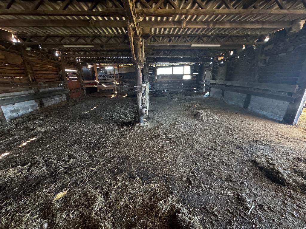 Stalling met weide te huur, Weidegang, 4 paarden of pony's of meer