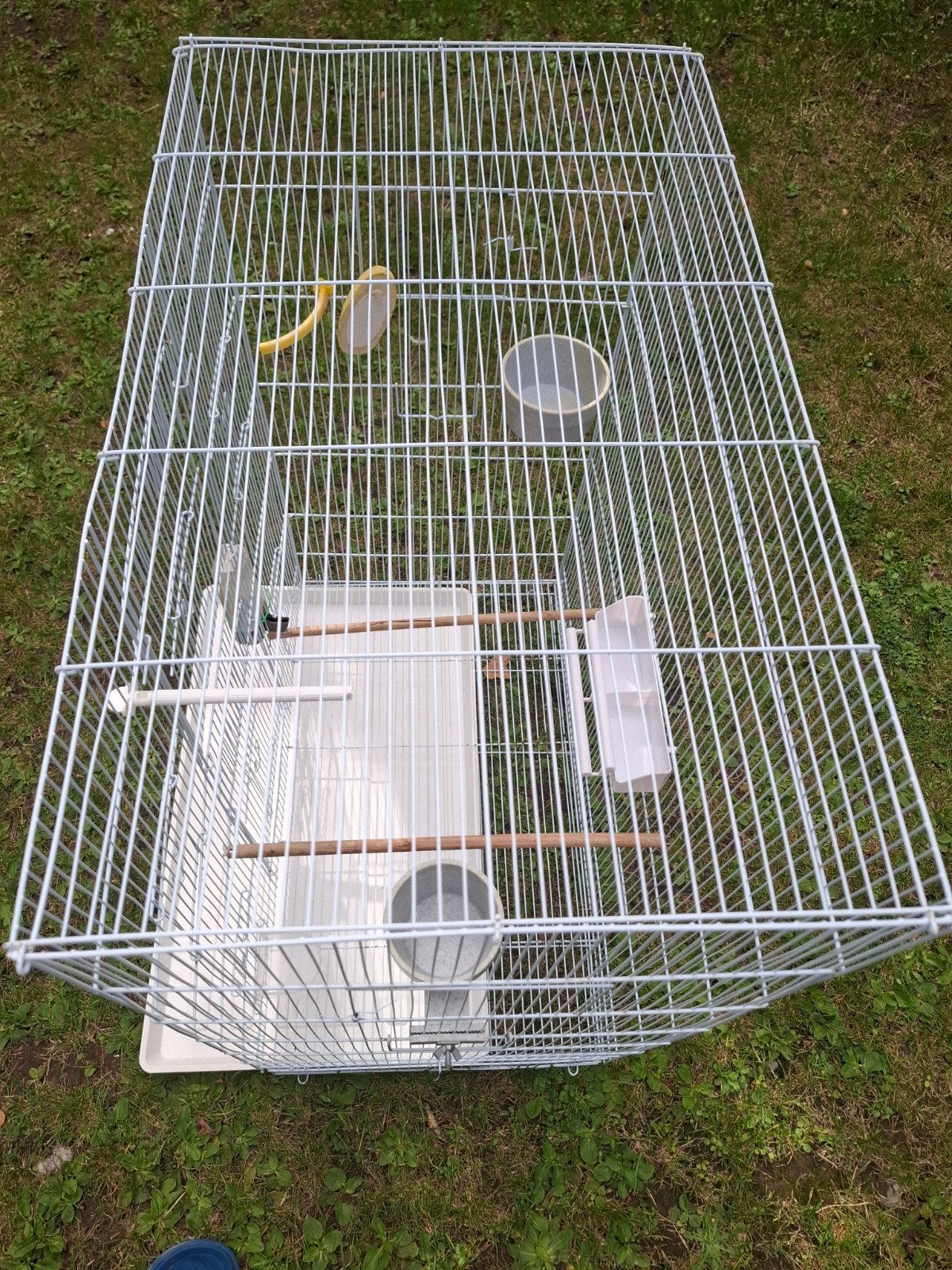 une grande cage pour oiseaux, Animaux & Accessoires