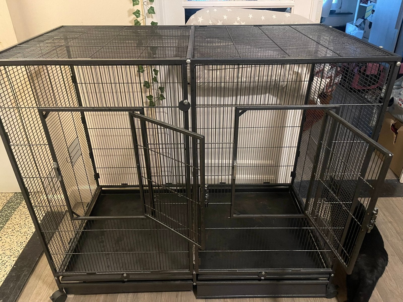 Kooi, Dieren en Toebehoren, Ophalen, Zo goed als nieuw, Kooi