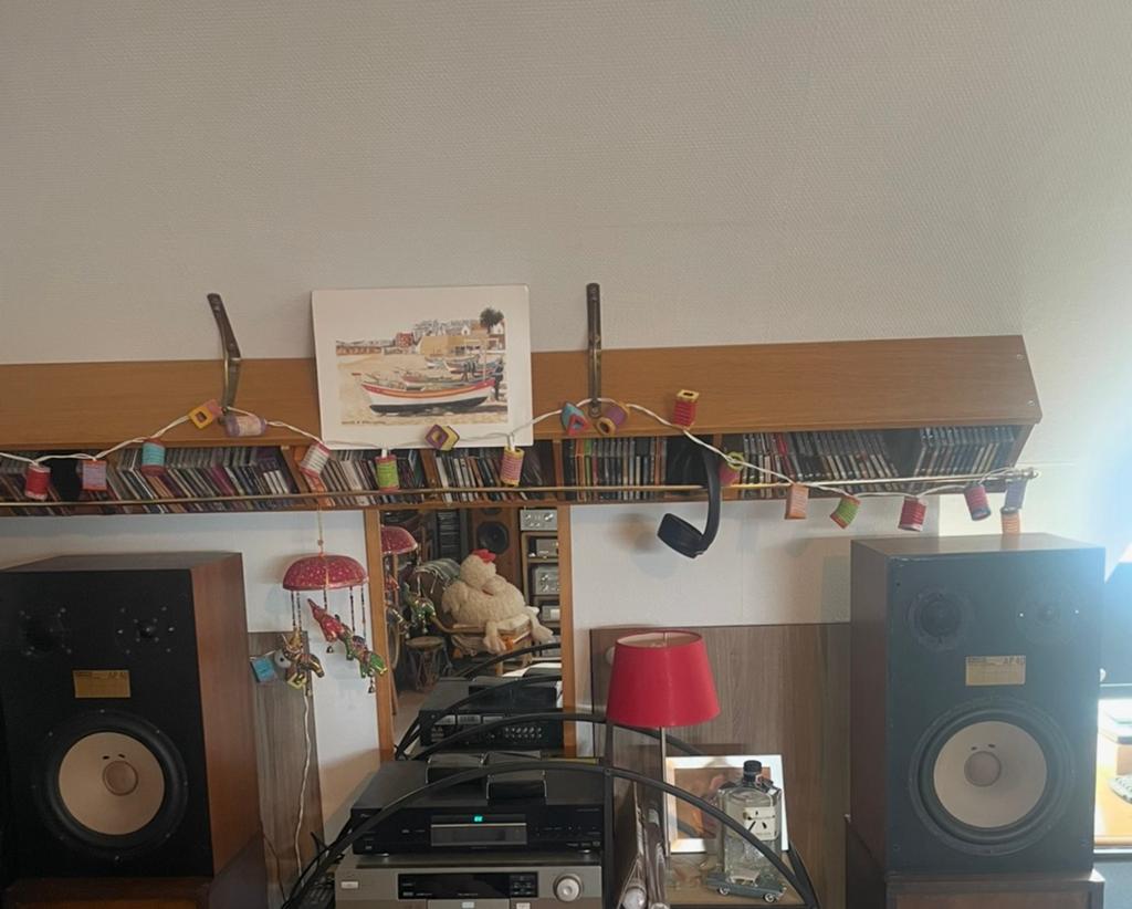Paar Audio Professional AP40-luidsprekers, Ophalen, Gebruikt, Overige merken